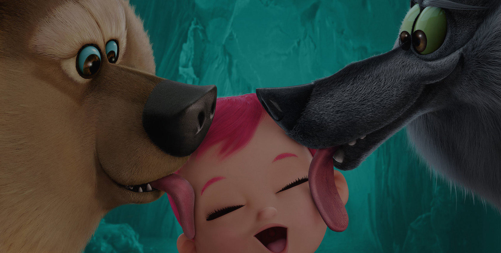 免费ddos在线攻击